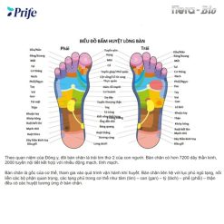 Máy Trị liệu, Chăm Sóc Sức Khỏe 3 IN 1 công nghệ cao ITera – Bio Prife ITeraCare – Coravo
