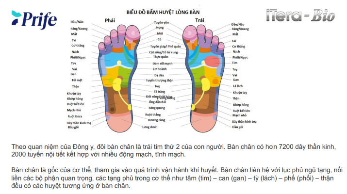Máy Trị liệu, Chăm Sóc Sức Khỏe 3 IN 1 công nghệ cao ITera – Bio Prife ITeraCare – Coravo