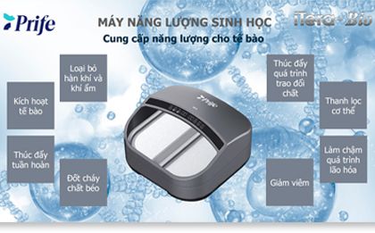 Trang chủ